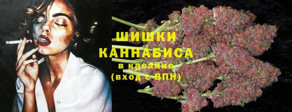 ешки Нефтегорск