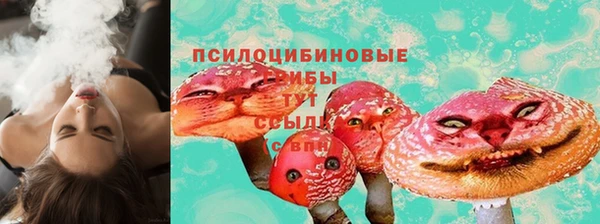 ПСИЛОЦИБИНОВЫЕ ГРИБЫ Нея
