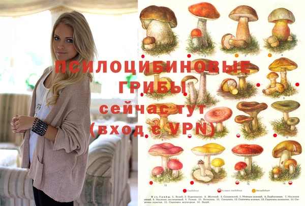 ешки Нефтегорск